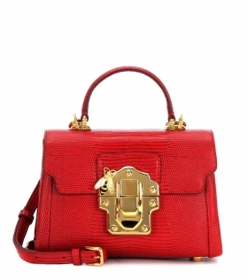 Mini red leather bag